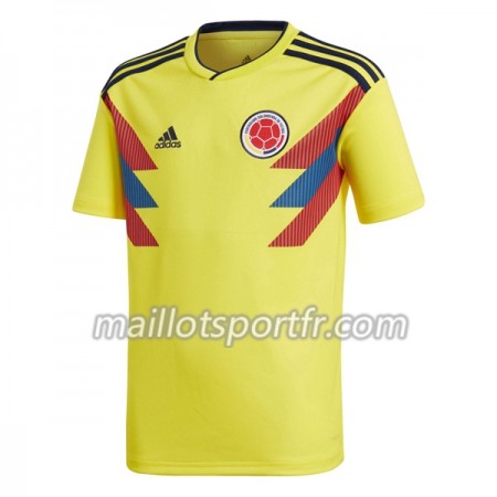 Maillot de Foot Colombie Domicile Coupe du monde 2018